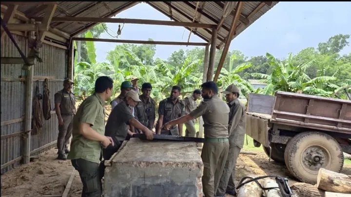 সখীপুরে যৌথ বাহিনীর অভিযানে,  ৫ টি অবৈধ করাতকল উচ্ছেদ